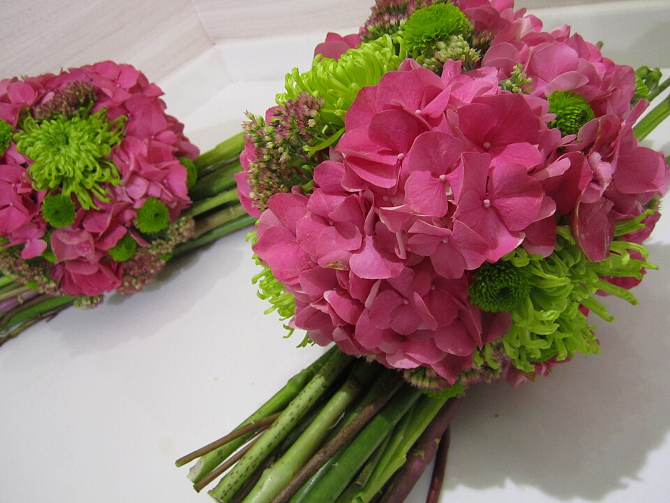 Fuchsia hydrangea bouquet with green foliage