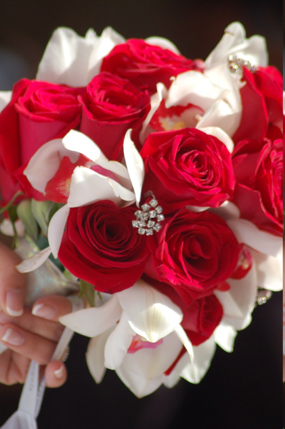Bouquet of red roses